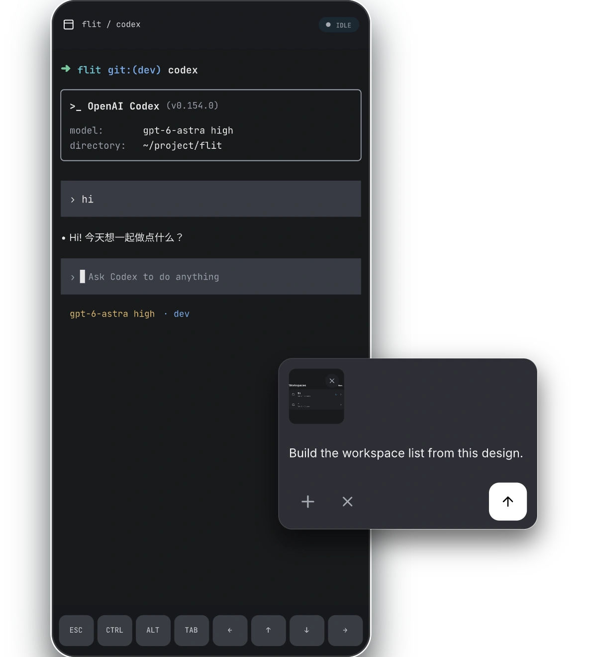 A Codex Pane terminal with an enlarged message composer and image attachment control.